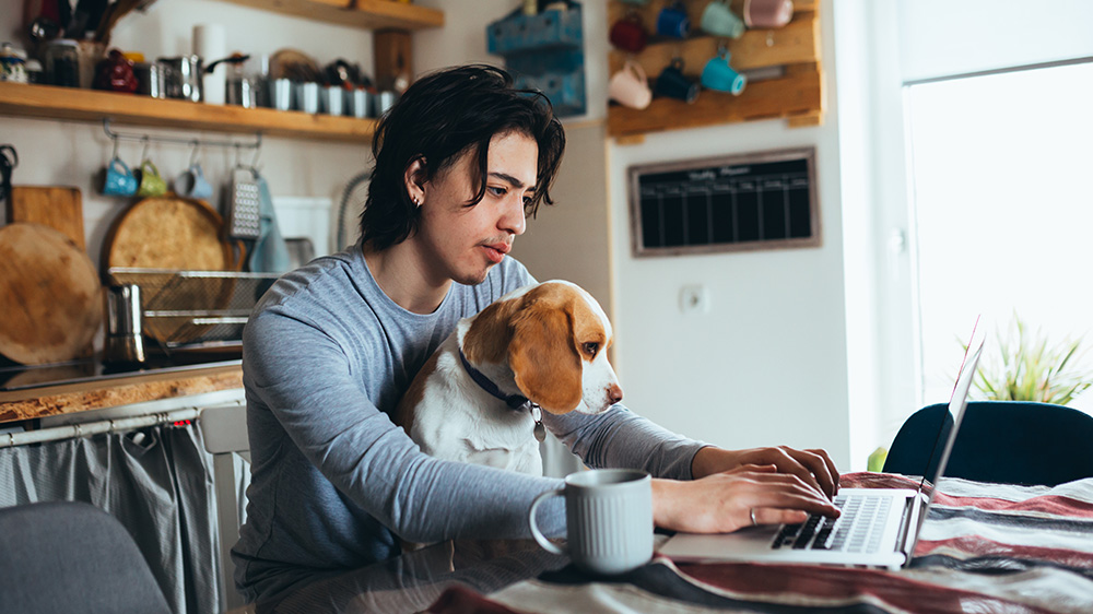 guy and dog looking at laptop