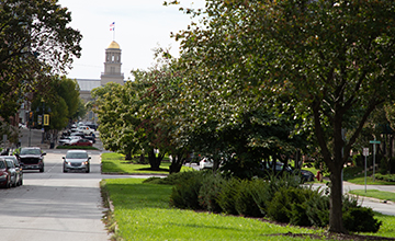 A tree lined street on the University of Iowa campus.