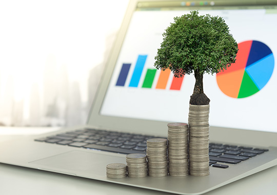 Employee Advantage Money Market Image